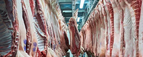 В Ульяновской области мясокомбинат расширяет производство