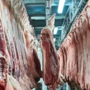 В Ульяновской области мясокомбинат расширяет производство