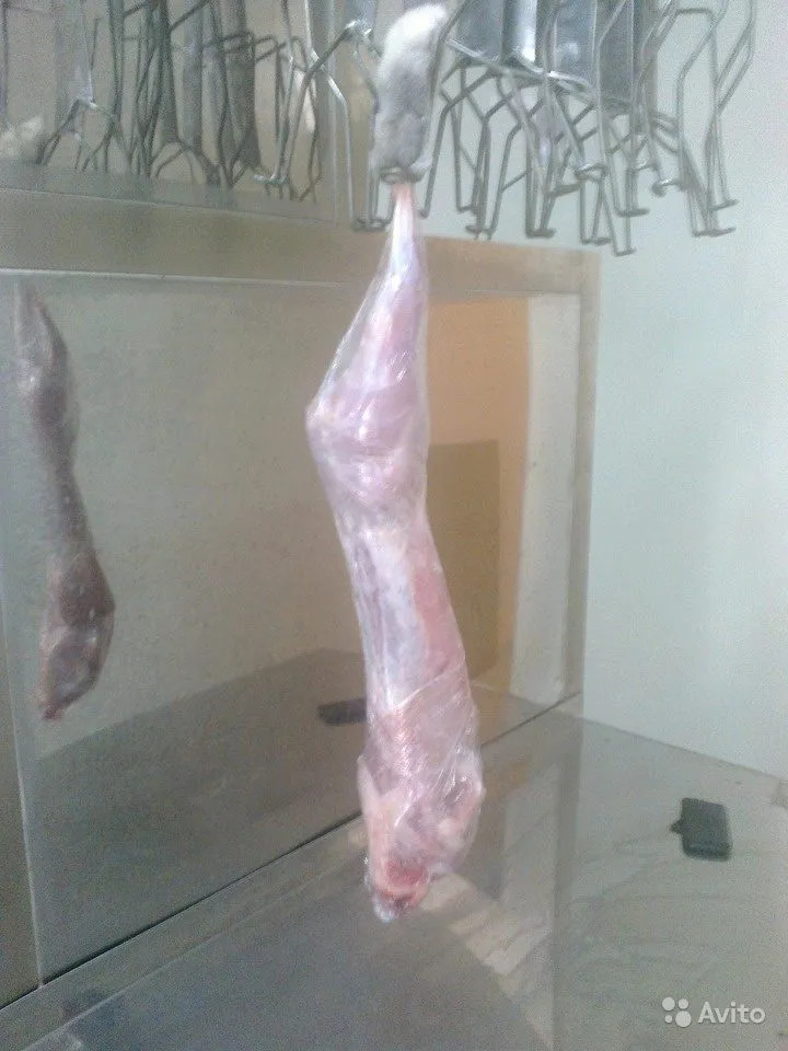 фотография продукта Тушка кролика охлажденная 350/кг
