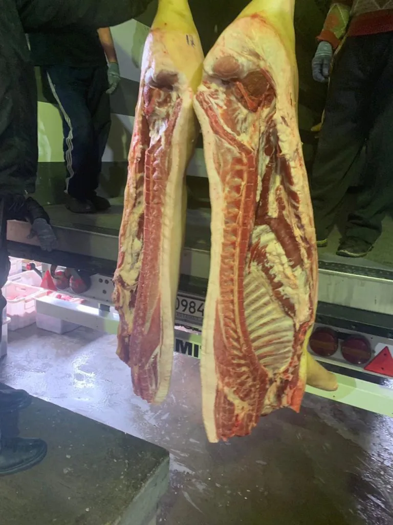 продаем мясо-сальных свиней живым весом в Димитровграде 3