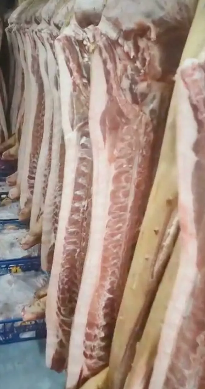 свиней сальной породы в живом весе 3 ком в Ульяновске и Ульяновской области 4